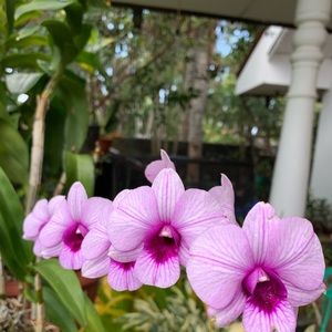 Meet your Posher, Anne